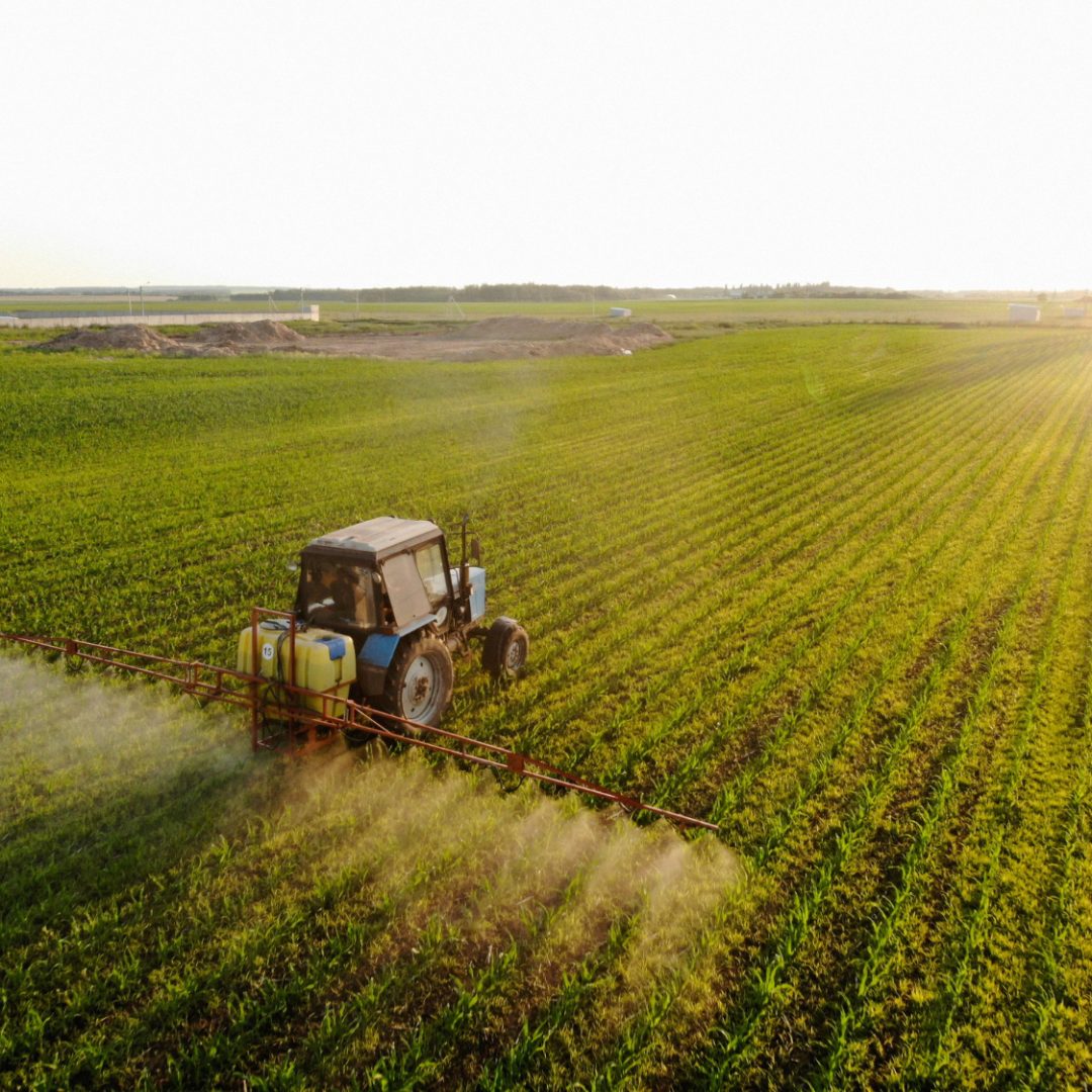 tractor-sprays-pesticides-corn-fields-sunset